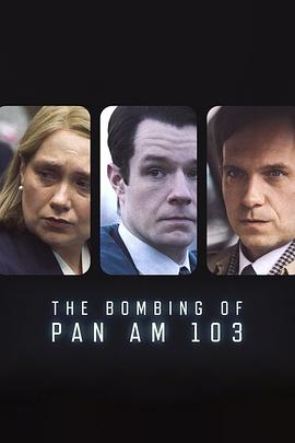 天涯社区《泛美航空103航班爆炸案 The Bombing of Pan Am 103》免费在线观看