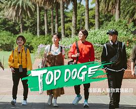 天涯海角社区《TOP DOG》免费在线观看