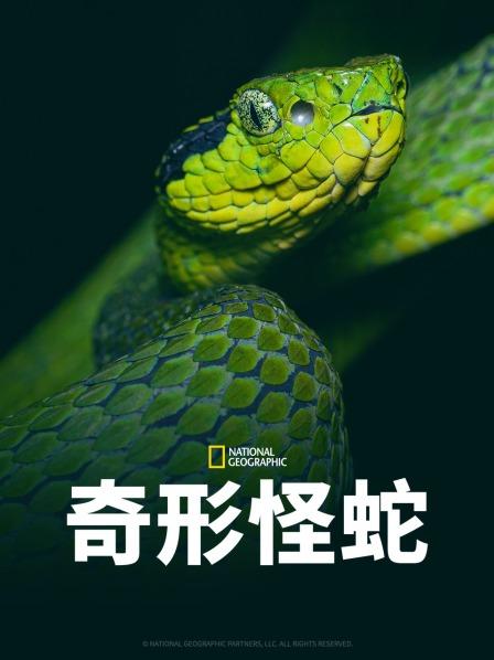 天涯社区《奇形怪蛇》免费在线观看